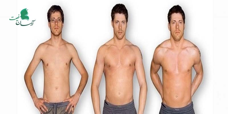 رژیم افزایش وزن